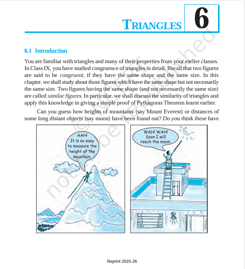 Three team members standing shoulder to shoulder and smiling at the camera, posing for an about us portrait in an indoor office setting with soft lighting; friendly and welcoming tone; no readable text present