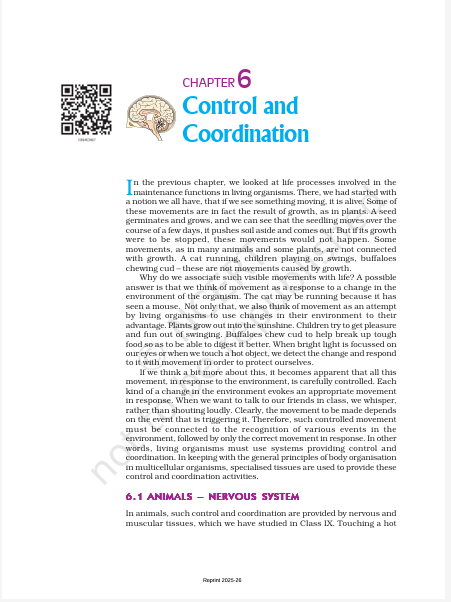 Three team members standing shoulder to shoulder and smiling at the camera, posing for an about us portrait in an indoor office setting with soft lighting; friendly and welcoming tone; no readable text present