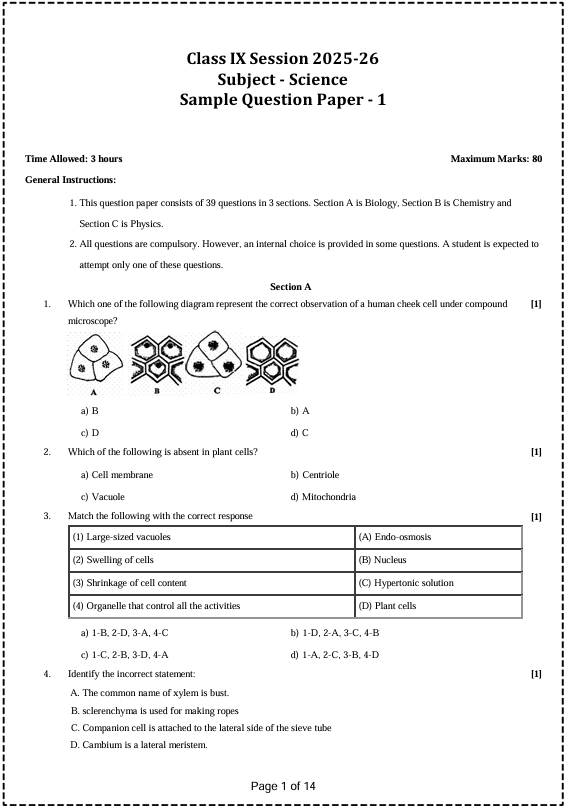 Three team members standing shoulder to shoulder and smiling at the camera, posing for an about us portrait in an indoor office setting with soft lighting; friendly and welcoming tone; no readable text present