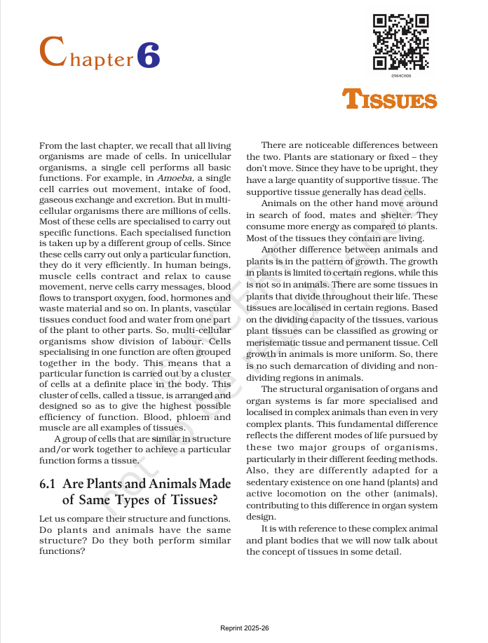 Three team members standing shoulder to shoulder and smiling at the camera, posing for an about us portrait in an indoor office setting with soft lighting; friendly and welcoming tone; no readable text present